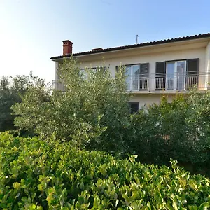 https://apartman-meri-pula.in-istria.net